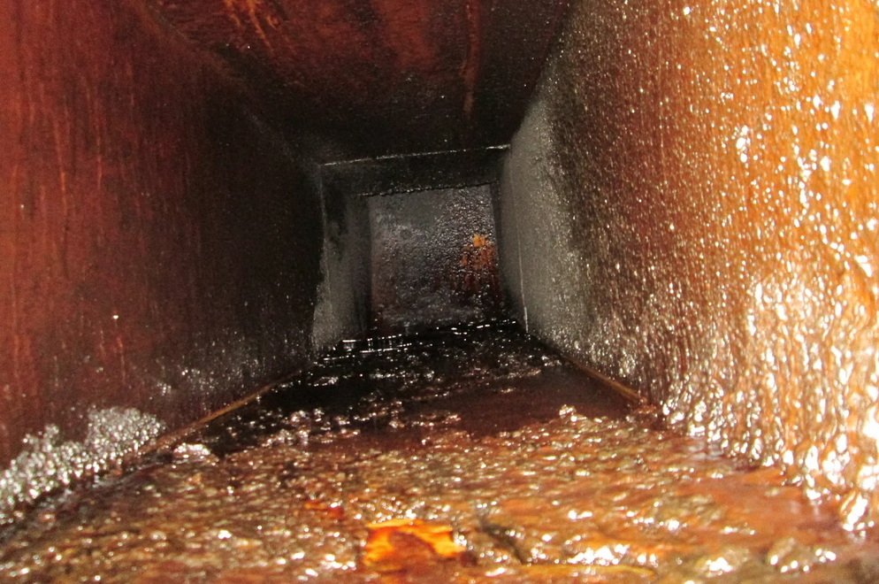 <span style="font-weight: bold;">ОЧИСТКА ОТ ЖИРОВЫХ ОТЛОЖЕНИЙ</span>